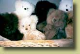Bears in a basket