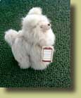 Standing alpaca